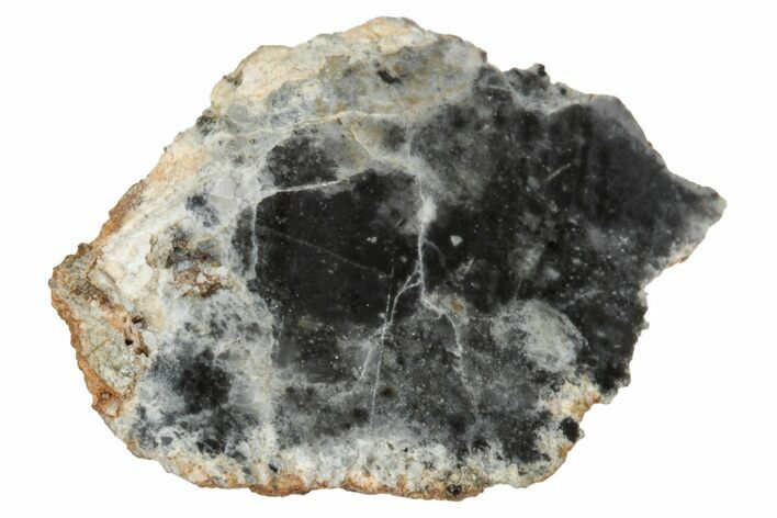 Lunar Meteorite ( g) Section - Bechar #348208